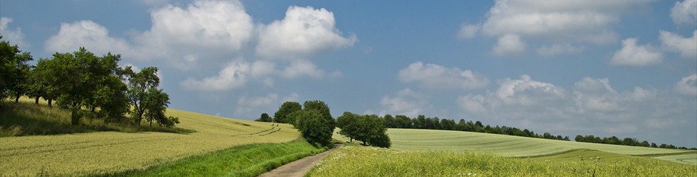 field-175959_1280